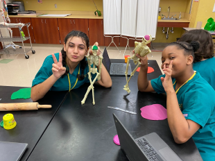 Pre-Med Students building a skeleton